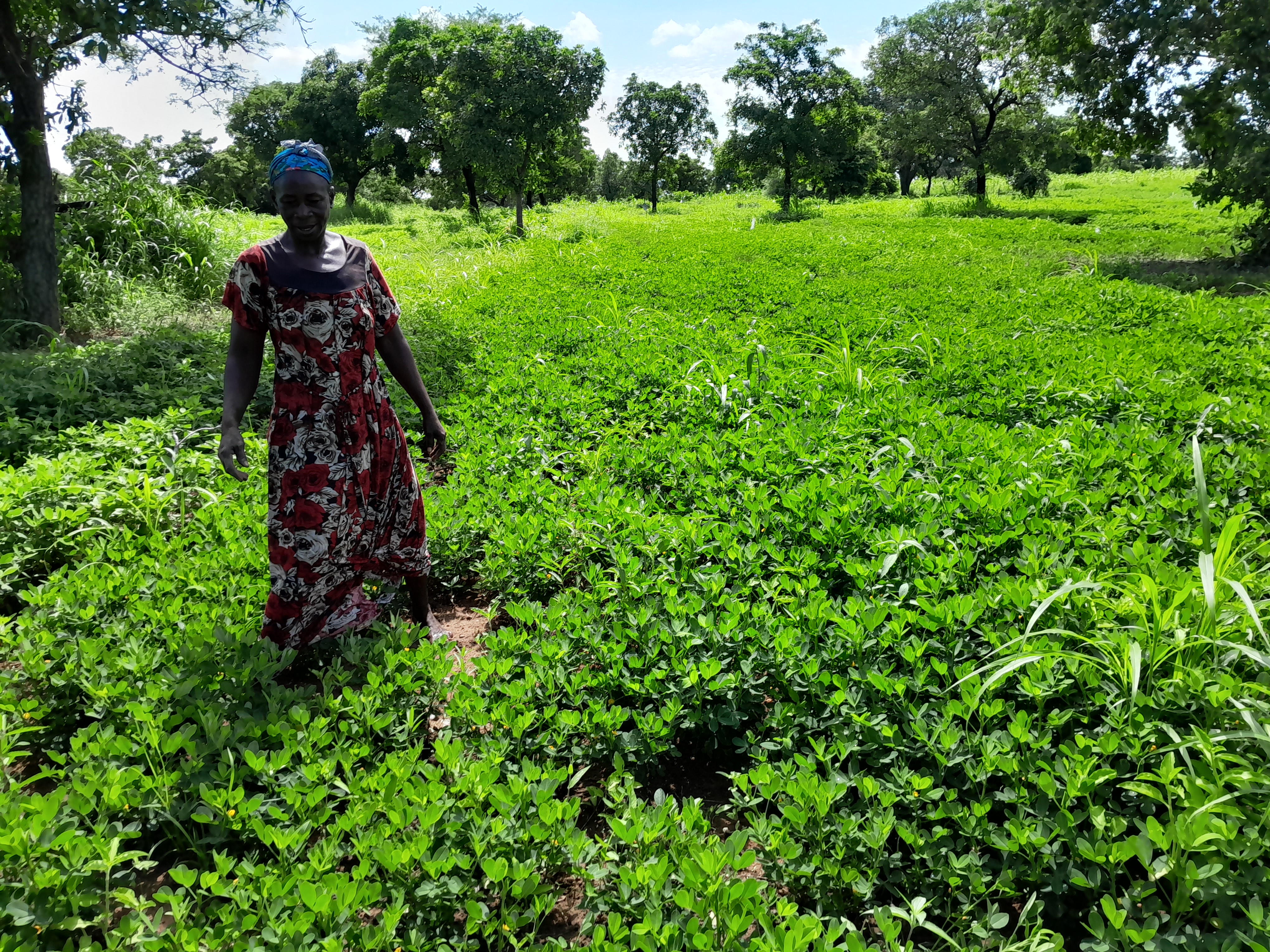 Bisigu Women